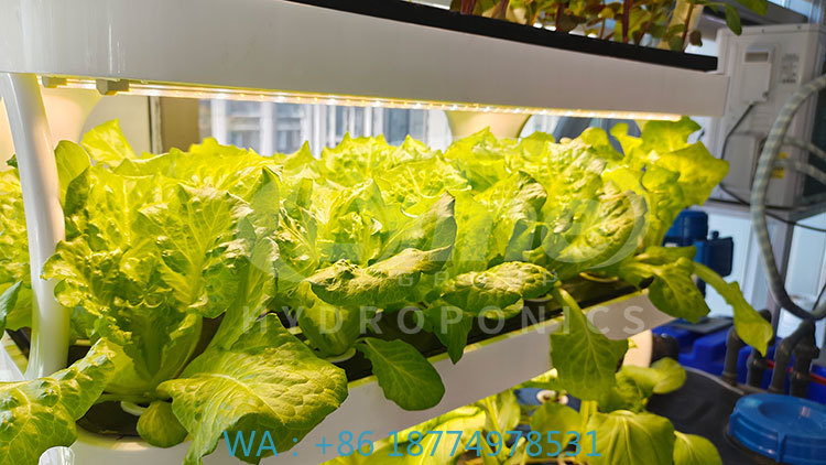 c Agriculture Machine to Growi - Agriculture Vertical Farming recension och pris